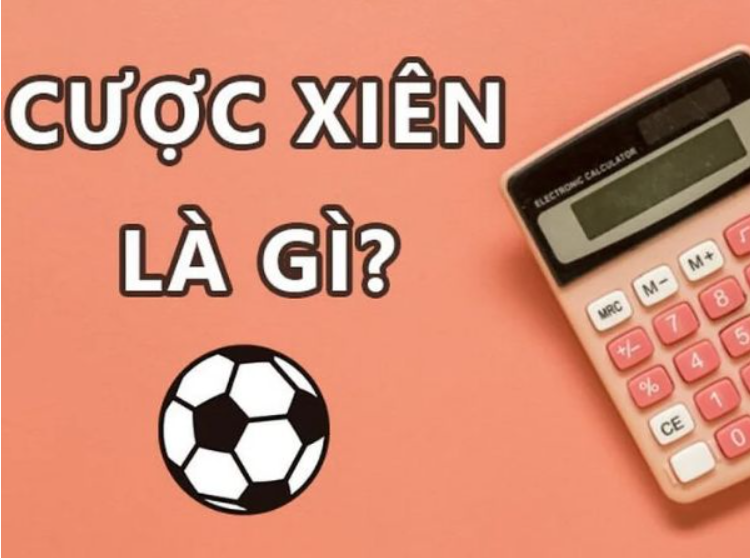 Tìm hiểu cược xiên thể thao Tìm hiểu cược xiên thể thao