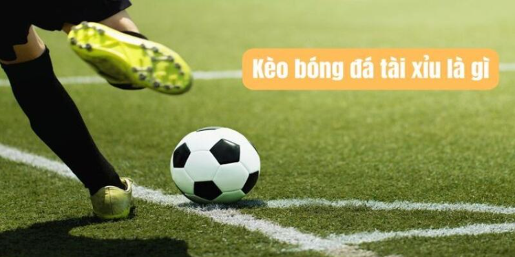 Giới thiệu sơ lược về kèo tài xỉu tại Aog777 Giới thiệu sơ lược về kèo tài xỉu tại Aog777